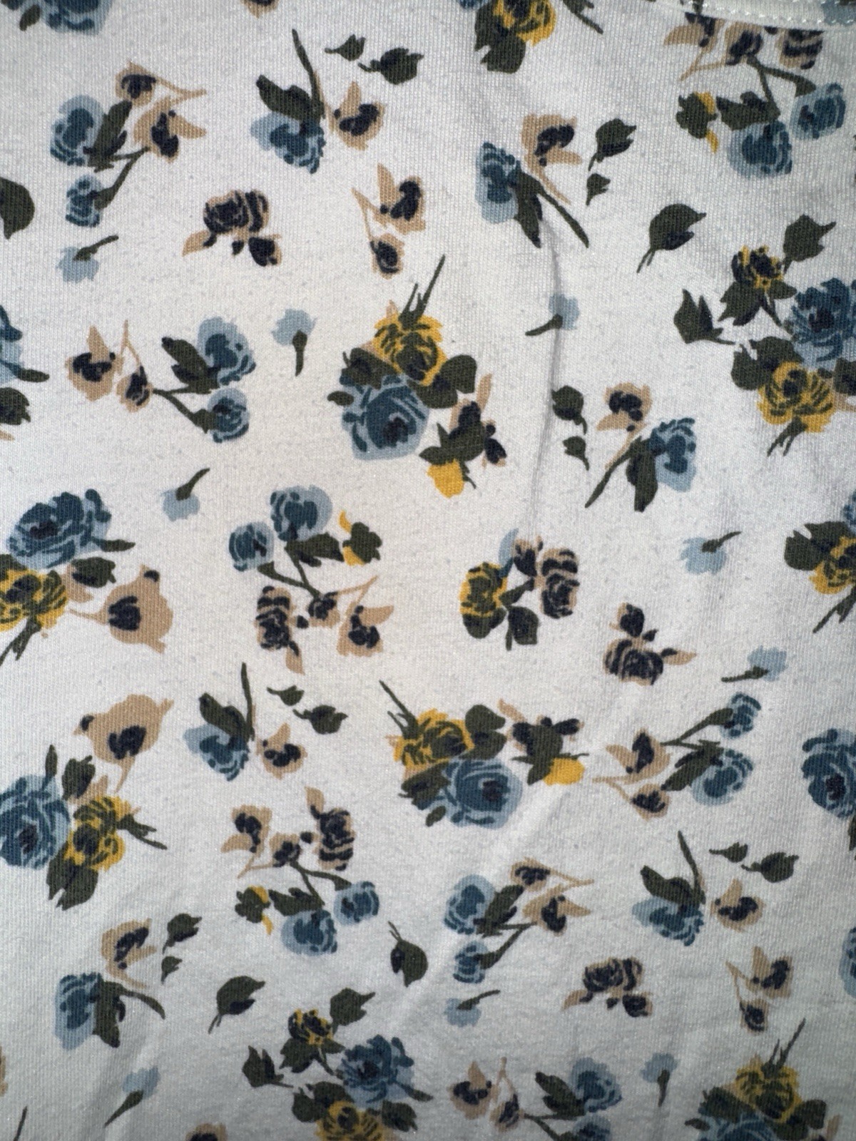 Falls Creek 2X Floral T-Shirt Ivory Blue Yellow Short Sleeve Cotton Modal Tee