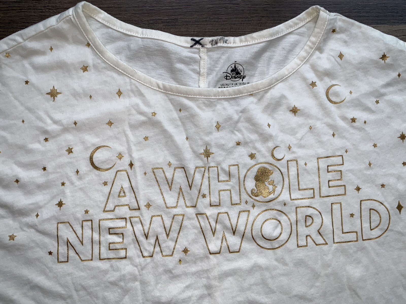 NEW A whole new world Princess jasmine disney shirt Women’s Sz 1X Aladdin