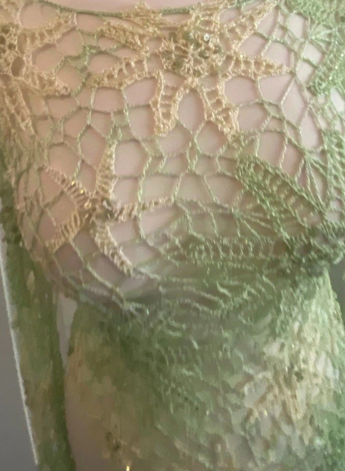 Mesh Crocheted Beaded Pullover Top Long Sleeve Green/light Yellow Wm Sm/M