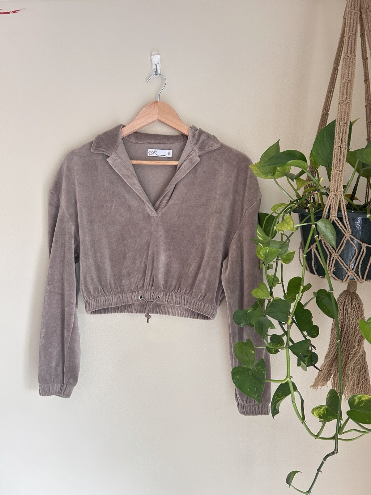 Zoe + Phoebe Taupe Velvet Cropped Collared Long Sleeve Blouse S Drawstring Hem
