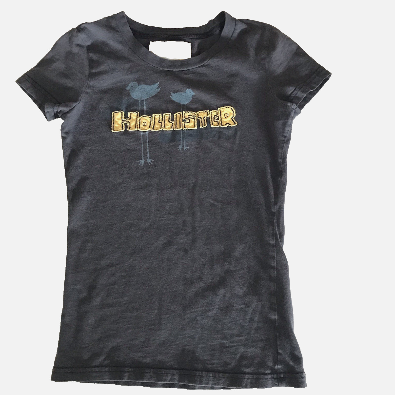 Y2K Hollister Baby Tee Small Womens Top Birds Blue Spellout Graphic T Shirt VTG