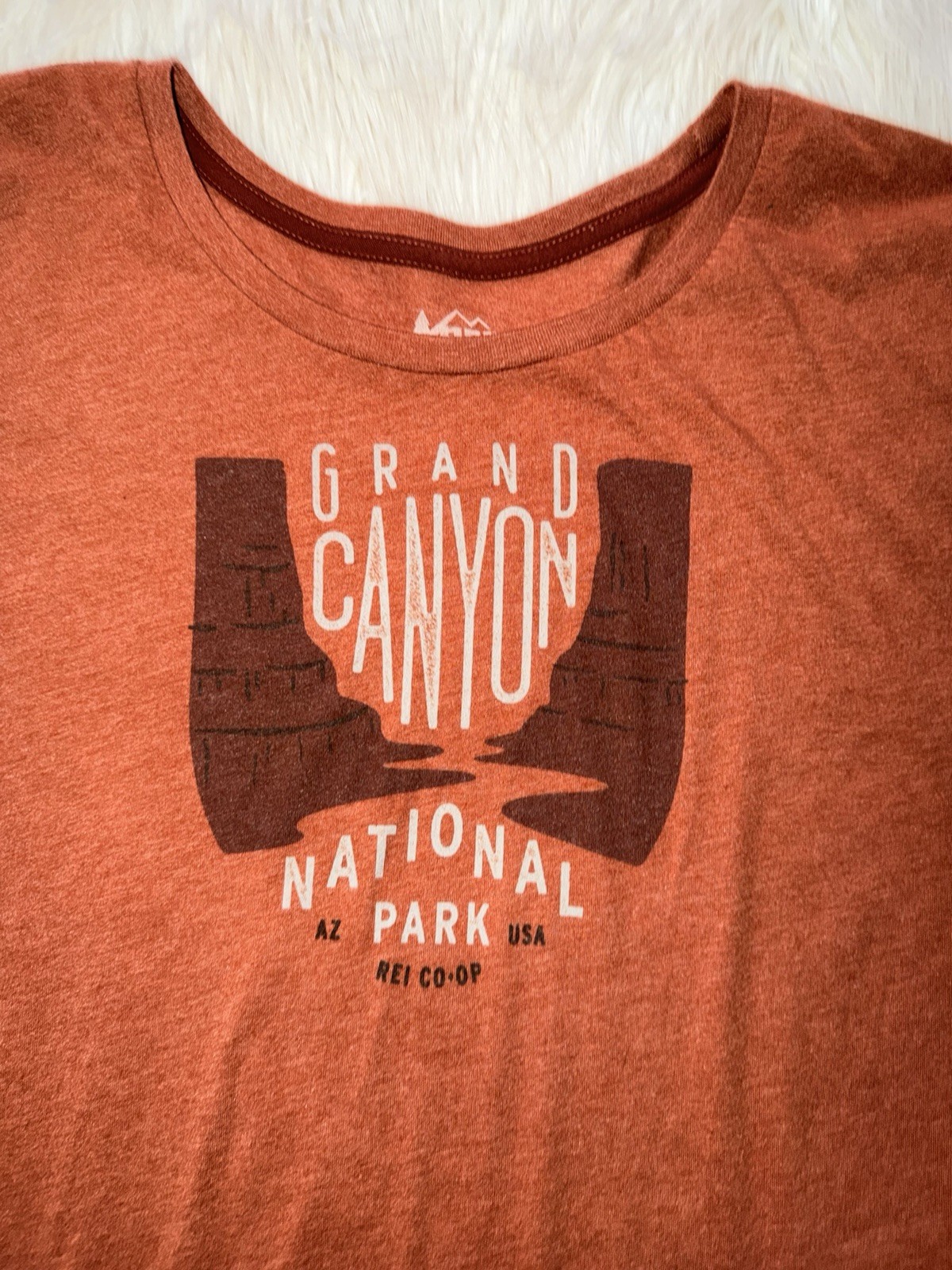 REI CO-OP Women’s 3XL Burnt Orange Grand Canyon National Park Tshirt Gorpcore