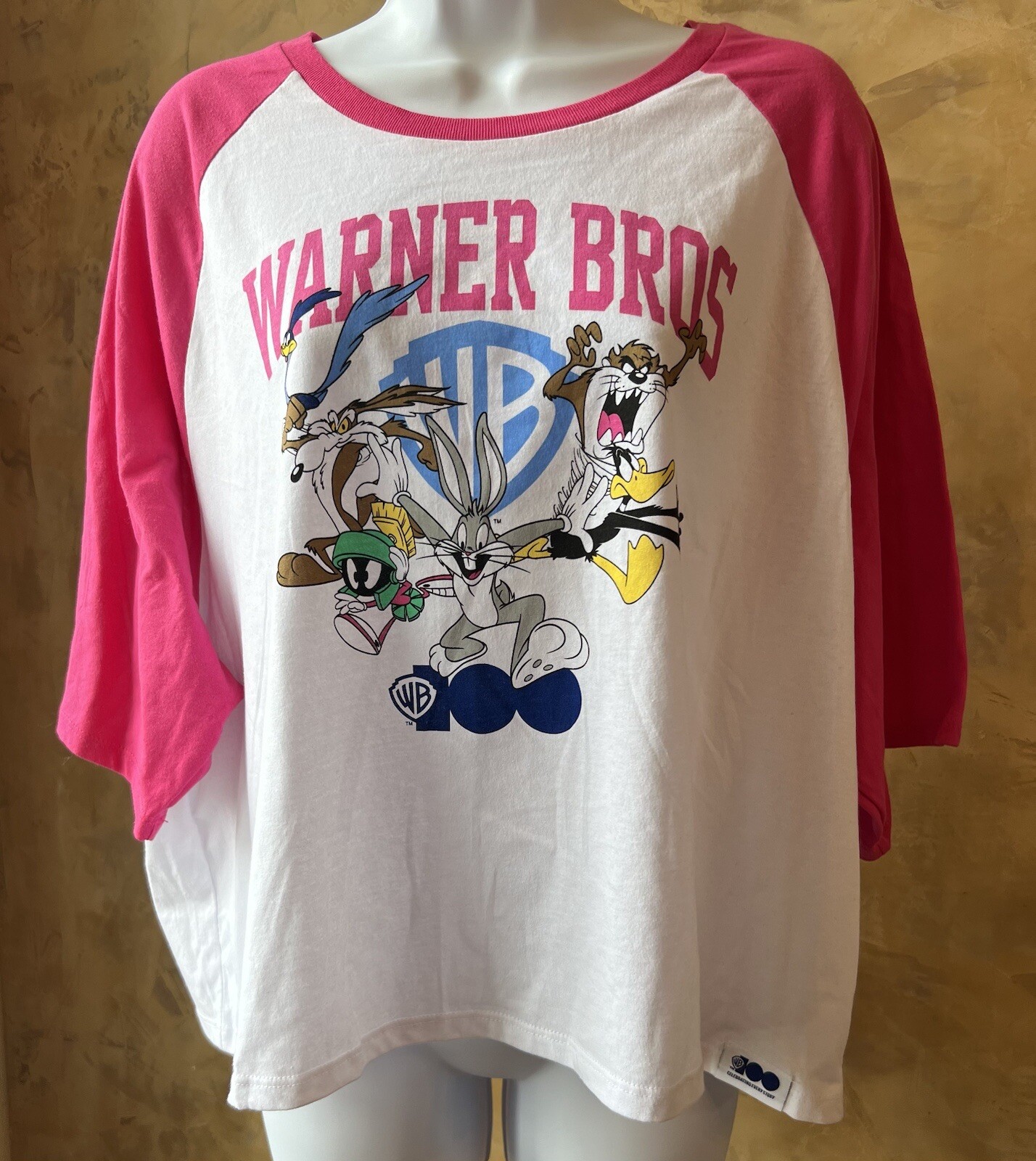 Woman 3XL Warner Bros 100 Celebrating Every Story Tshirt NWOT