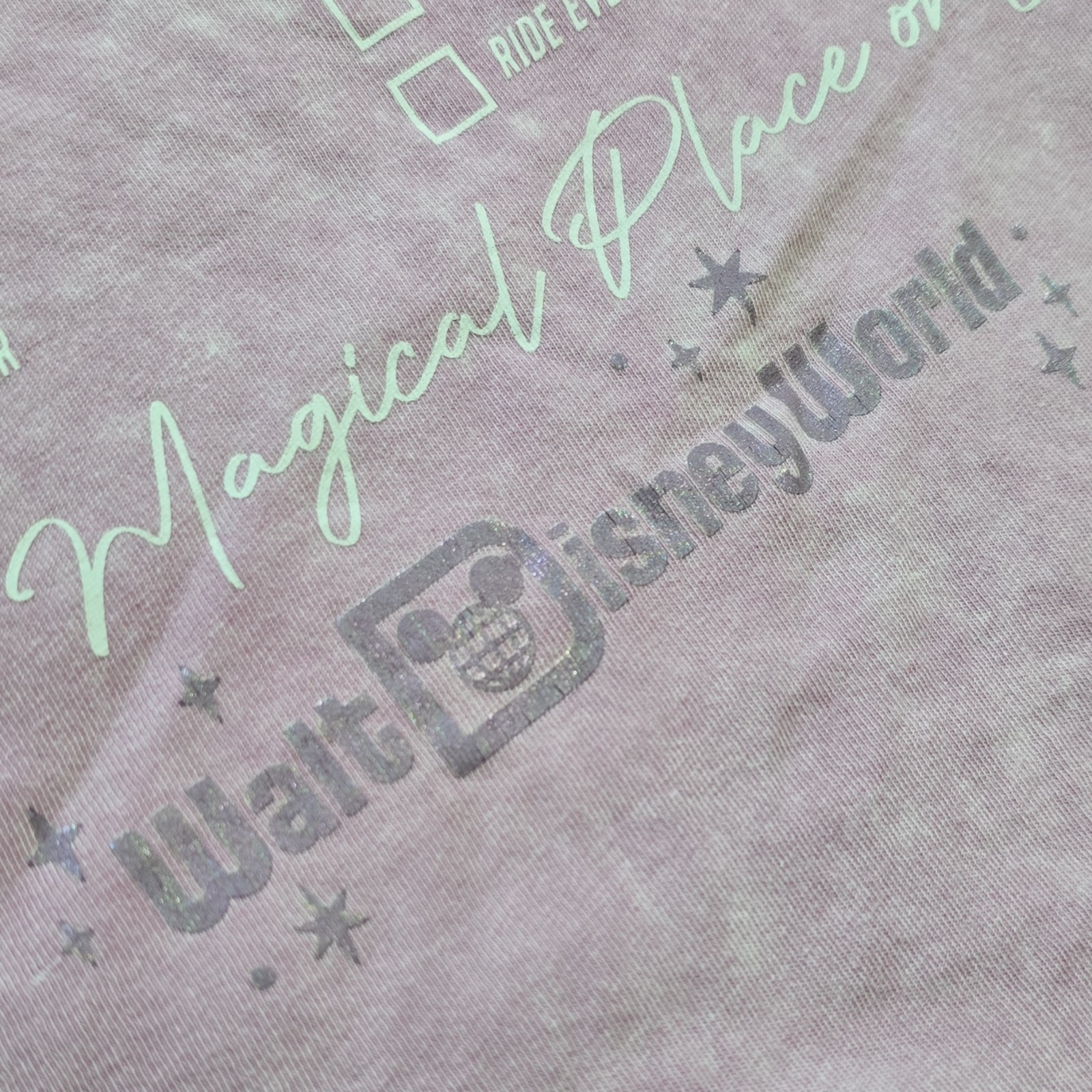 ​Walt Disney World T-Shirt 1X Pink Mineral vtg Wash Parks Icon Magical Checklist