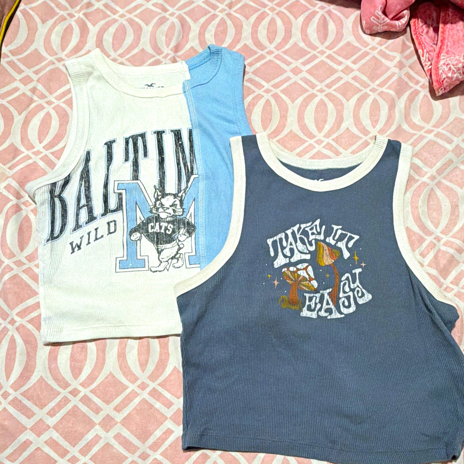 Hollister Women’s Ribbed Graphic Eagle Logo Tank Top Size S White/Blue