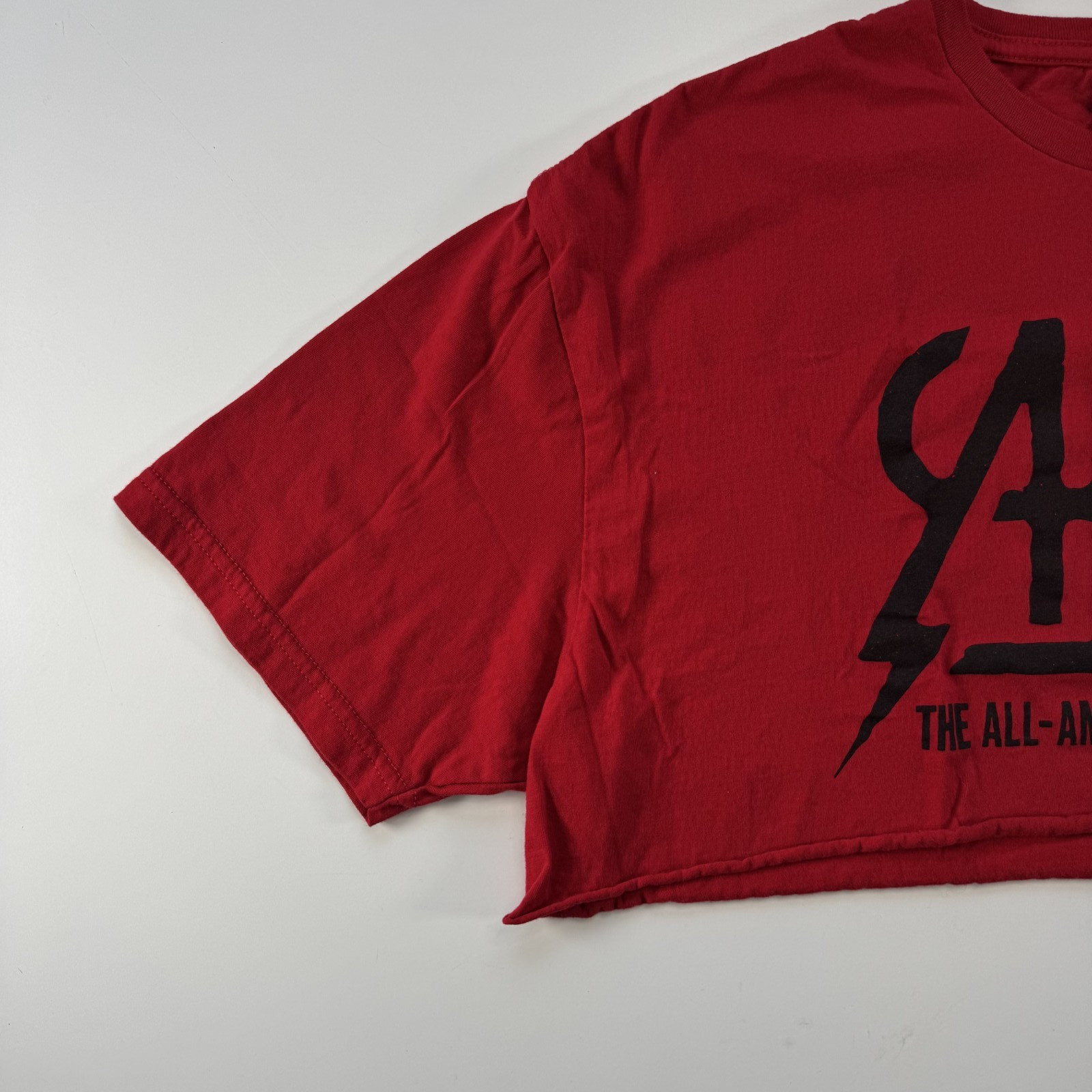 The All-American Rejects Logo Crop Top Tee XL Red Half Band T Shirt Rock N Roll