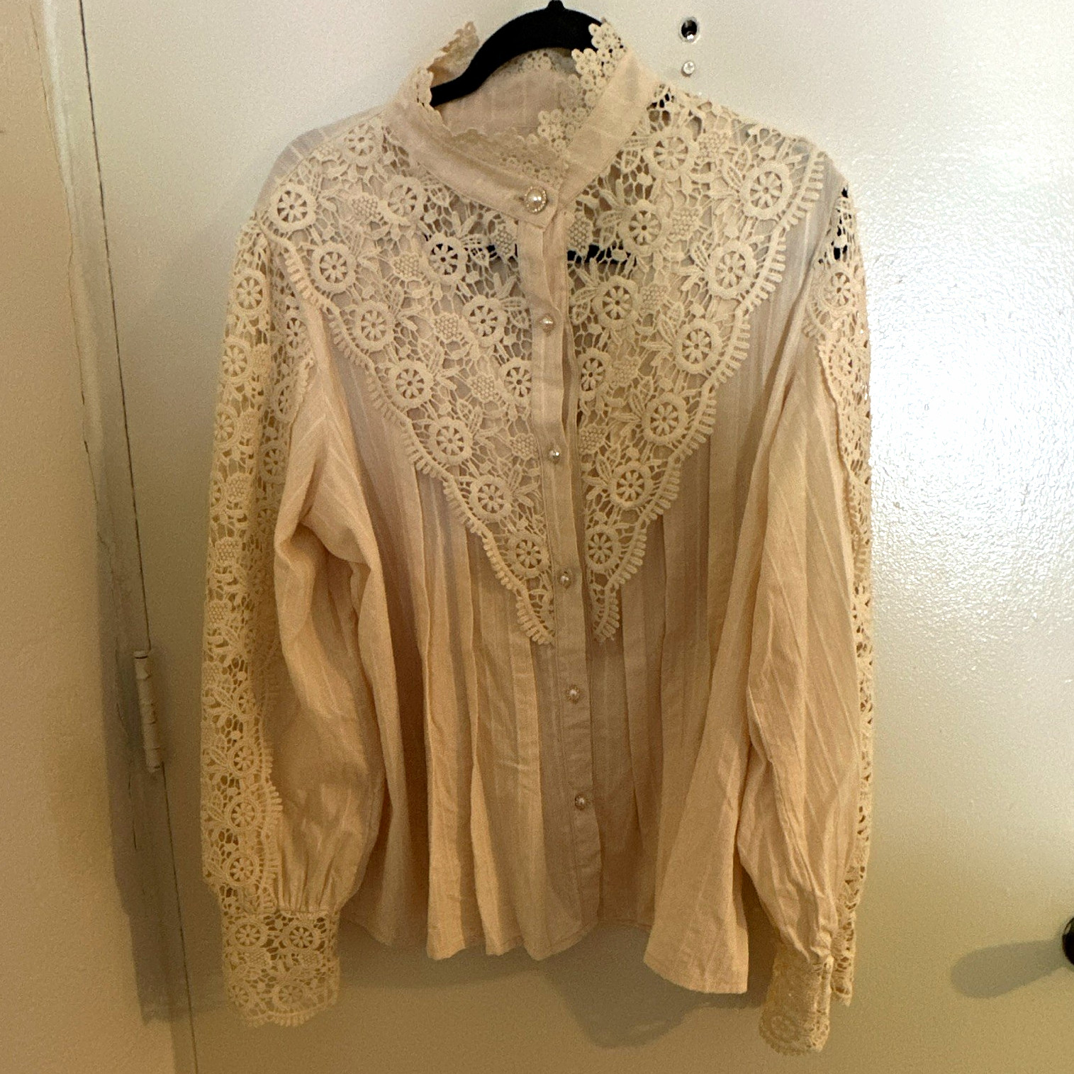 Beige Lace Button Front High Neck Blouse Long Sleeve Women’s Plus 3XL