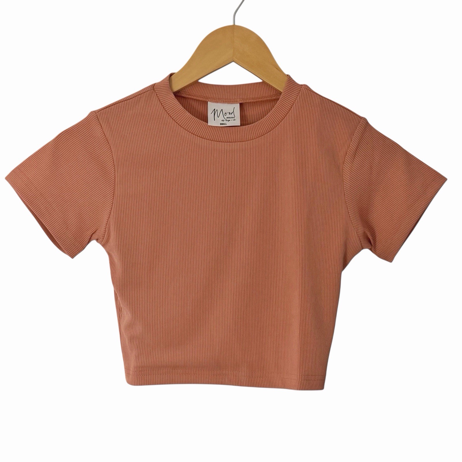 Mood Women’s Small Salmon Pink Ribbed Fitted Crop Top Short Sleeve Baby Tee