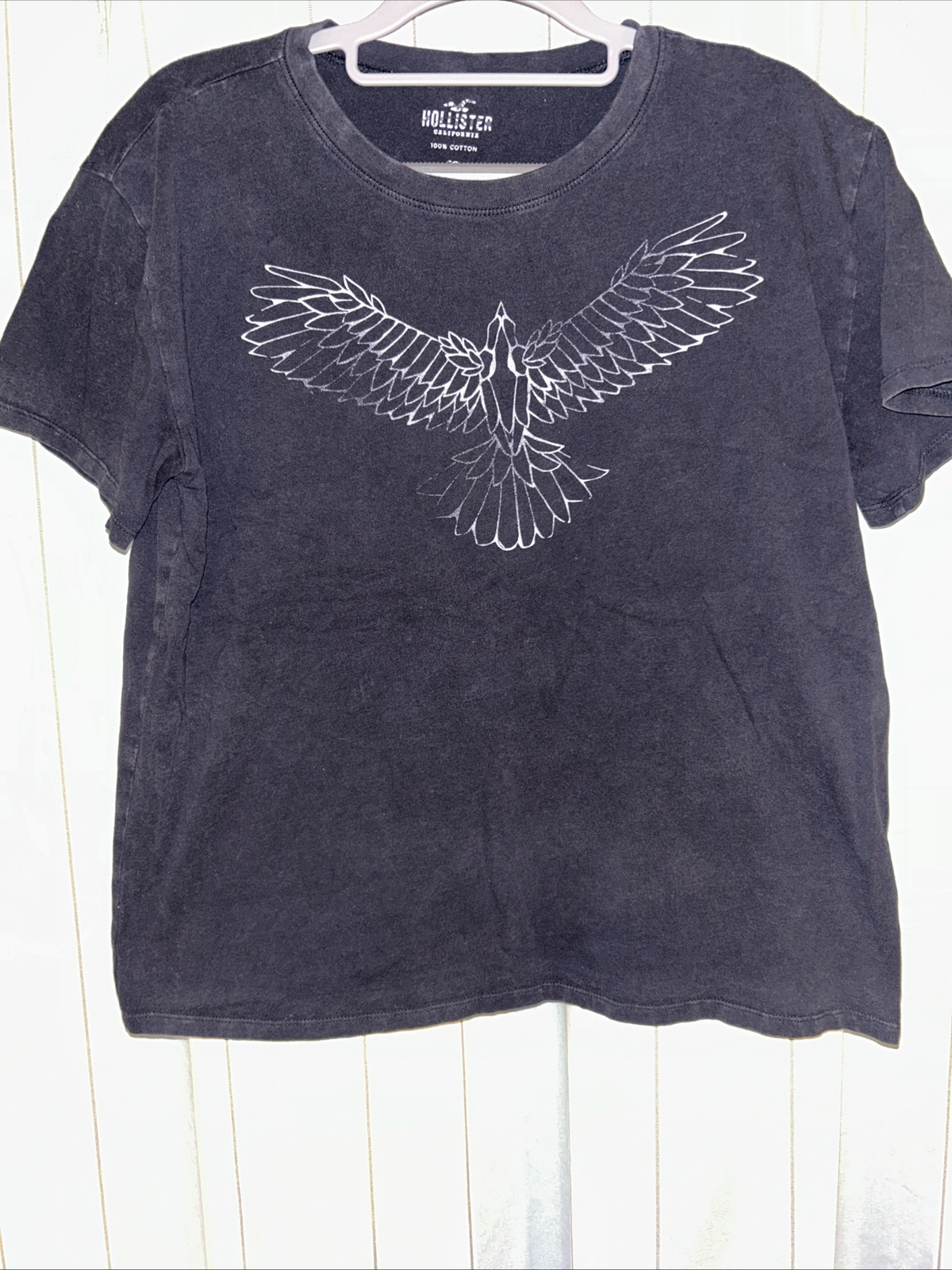 Hollister Women’s Blue T-shirt Size M – Graphic Print Bird