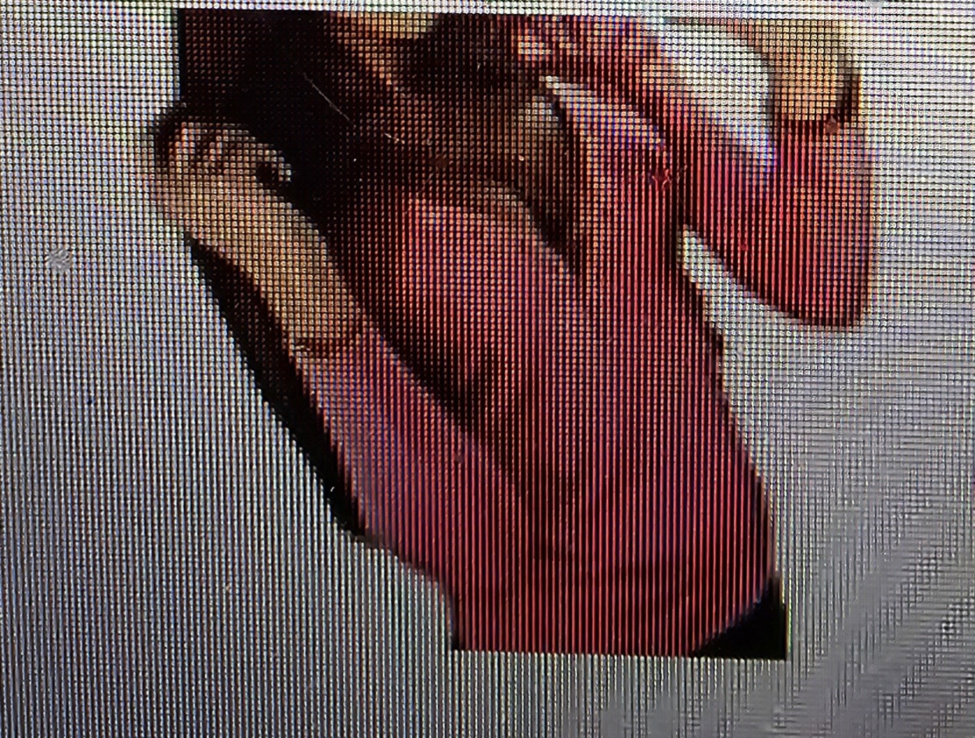 Farktop Women Medium Pink Long Sleeve Scoop Neck Low Cut Slim Fit Tee Top Shirt
