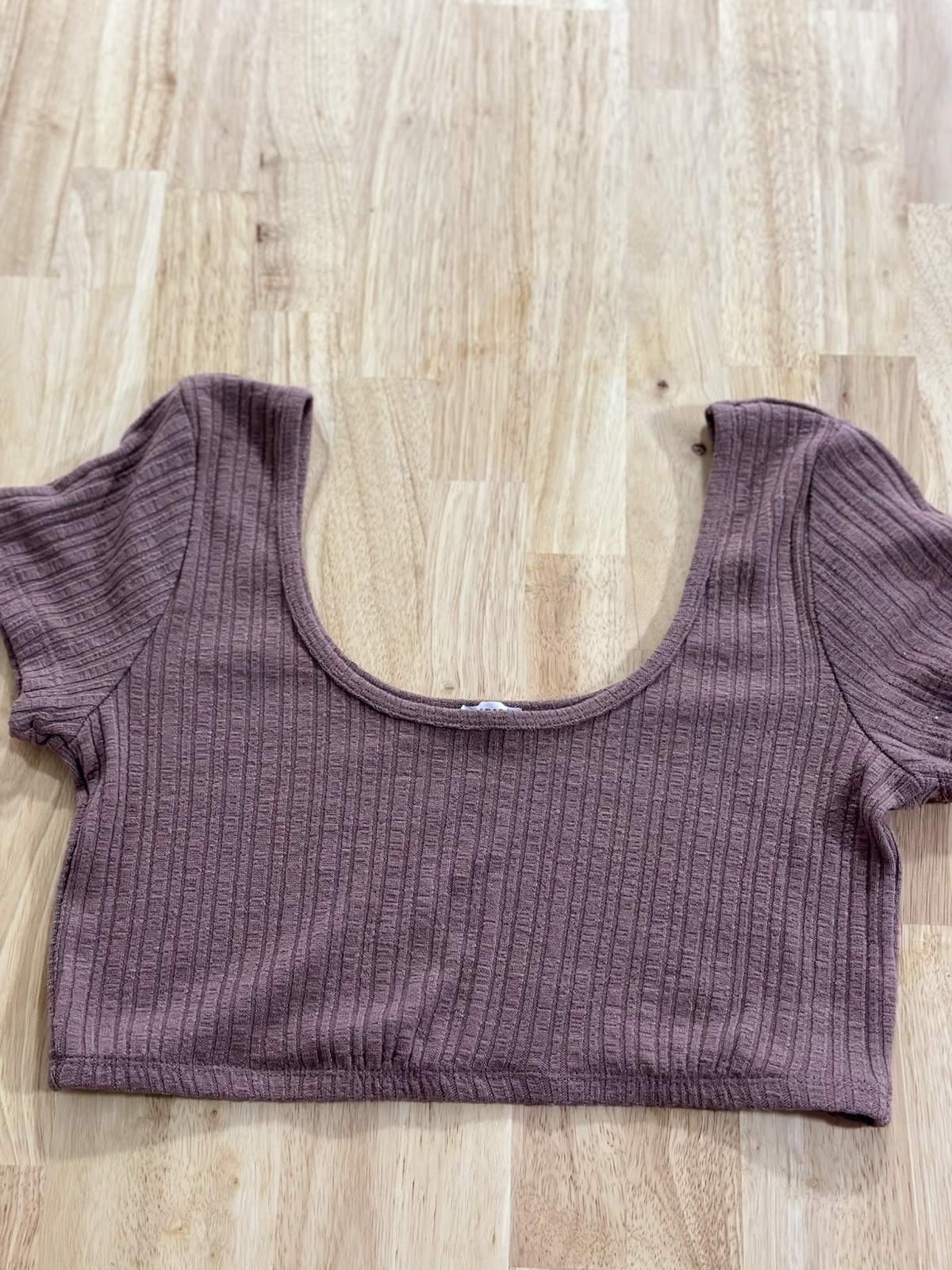 Garage Mauve Y2K Ribbed Knit Cropped Top, Short Sleeve Scoop Neck Size L