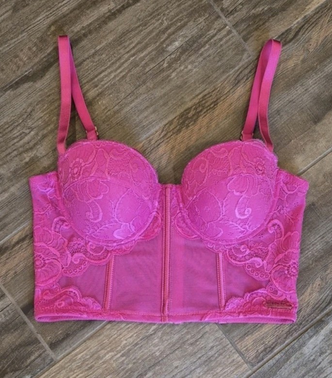 Baby Phat Pink Lace & Mesh Corset Bra Top, Back Gold Zipper Closure XS, B/C Cup