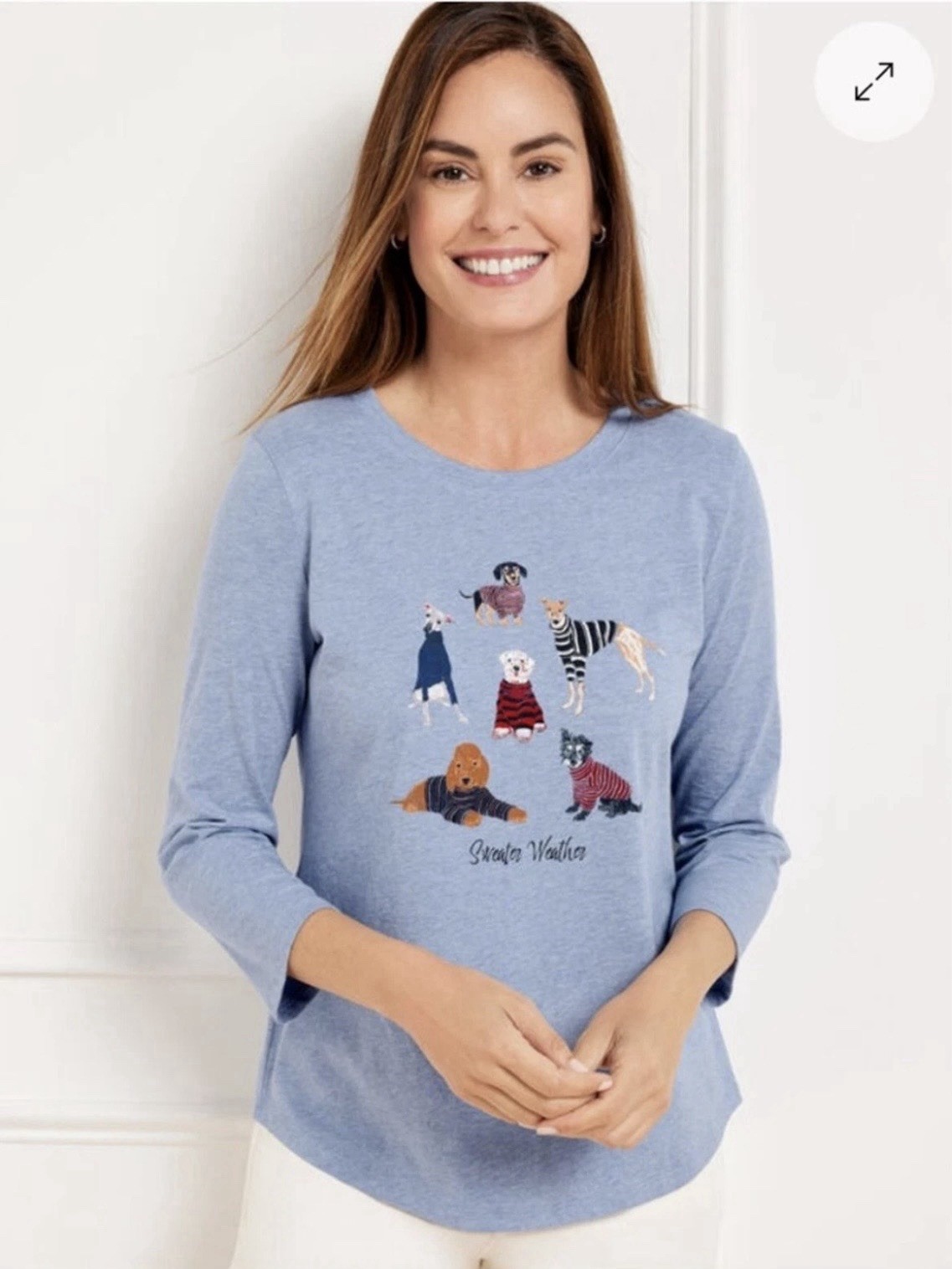 Talbots Crewneck Blue 3/4 Sleeve Tee Cotton Dog Sweater Weather Novelty Print XL